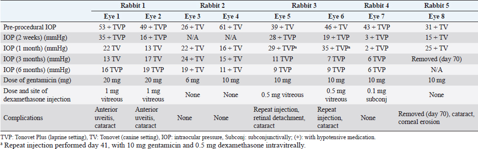 Clinical outcome of intravitreal gentamicin injection for the treatment ...